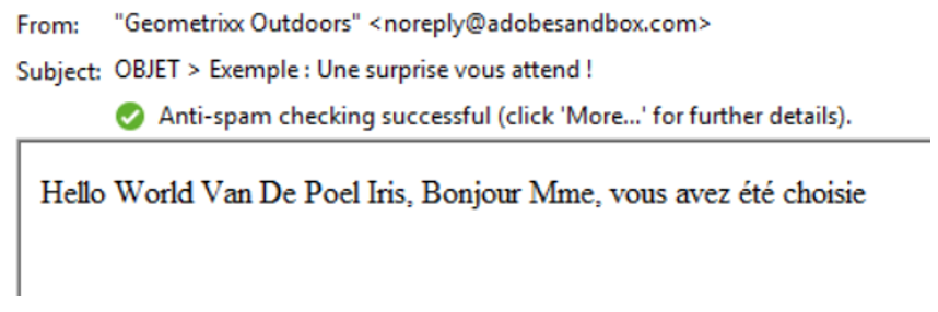10 - Bien utiliser les fonctionnalités d’Adobe Campaign - Perfectionnement 2