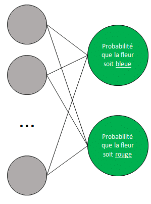 Réseau de neurones - Couche de sortie 2