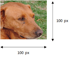 Réseau de neurones - Illustration en couleur d'un chien
