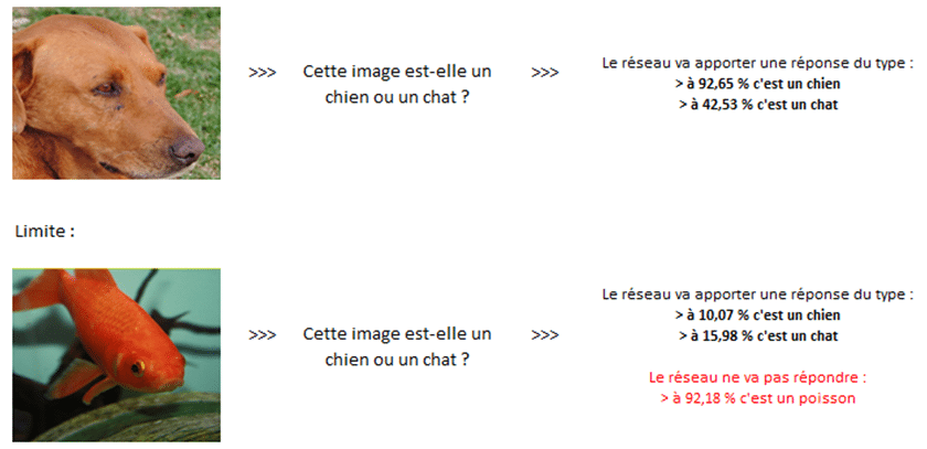 Réseaux de neurones - Illustration de reconnaissance d'images