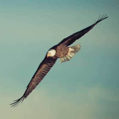 Projets Big Data : pourquoi développer en Spark-Scala - Illustration : liberté