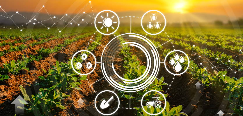 Revue de presse Data & Digital - Octobre 2021