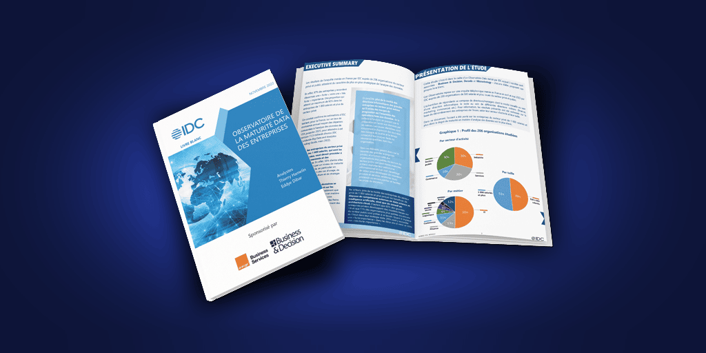 Observatoire de la maturité Data des entreprises en France